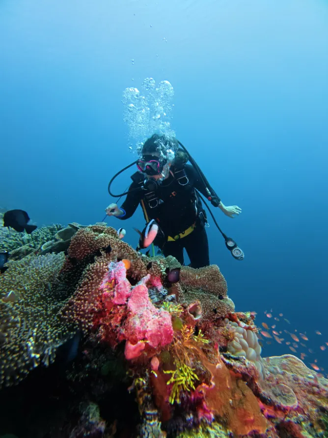 Wangi-Wangi Island in Wakatobi